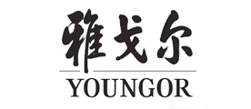 Youngor/雅戈尔