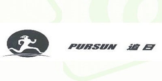 PURSUN/追日