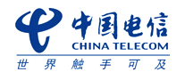 CHINA TELECOM/中国电信